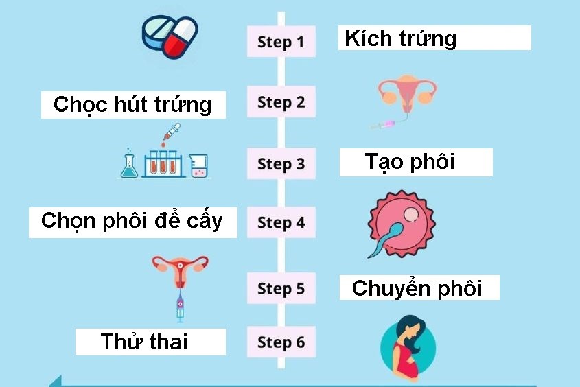Quy trình thụ tinh ống nghiệm