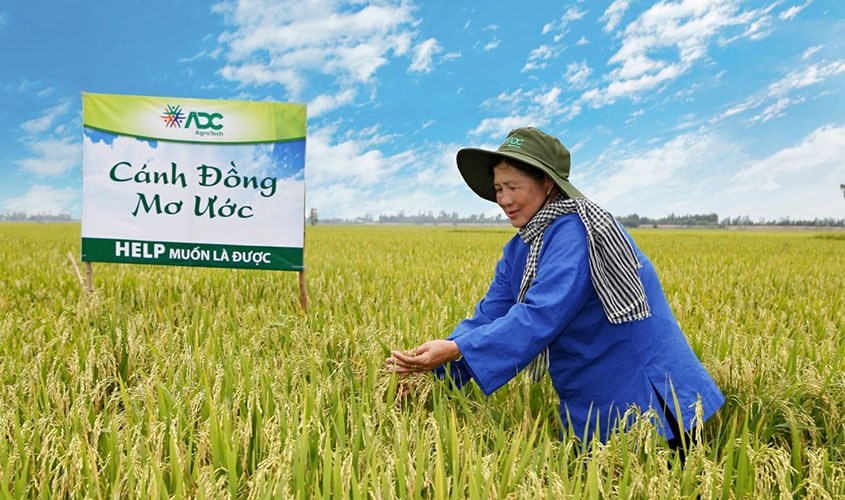 Các sản phẩm của ADC được sản xuất từ Cánh đồng Mơ Ước