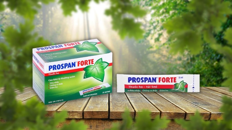 Siro Prospan Forte trị ho, viêm phế quản (21 gói x 5ml)