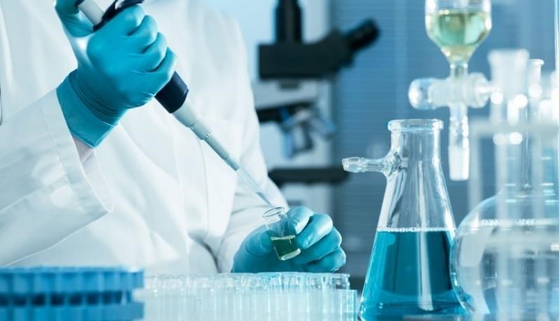 Lịch sử hình thành và phát triển của Laboratoires Grimberg SA
