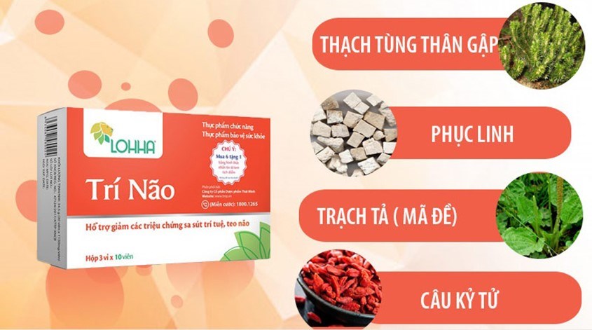 Thương hiệu Lohha của nước nào? Có tốt không? Các dòng sản phẩm nổi bật