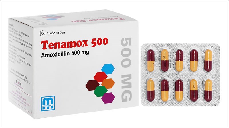 Tenamox 500 trị nhiễm khuẩn