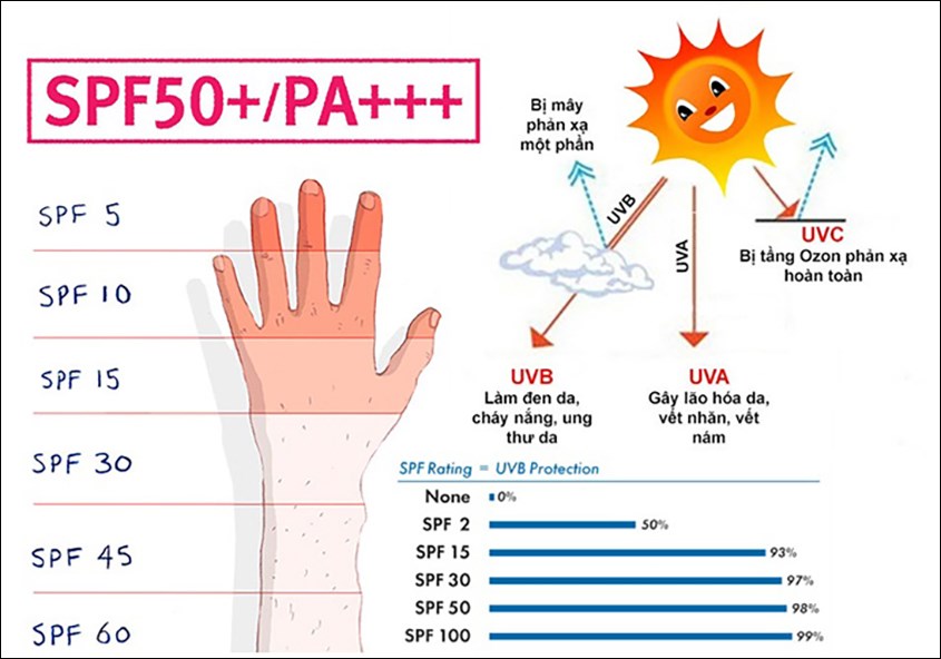 SPF 50 là gì? Tìm hiểu về chỉ số chống nắng và lợi ích cho làn da