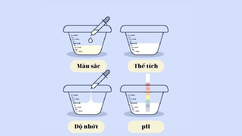 Nhận biết tinh trùng loãng thông qua tính chất của tinh dịch Nhận biết tinh trùng loãng thông qua tính chất của tinh dịch