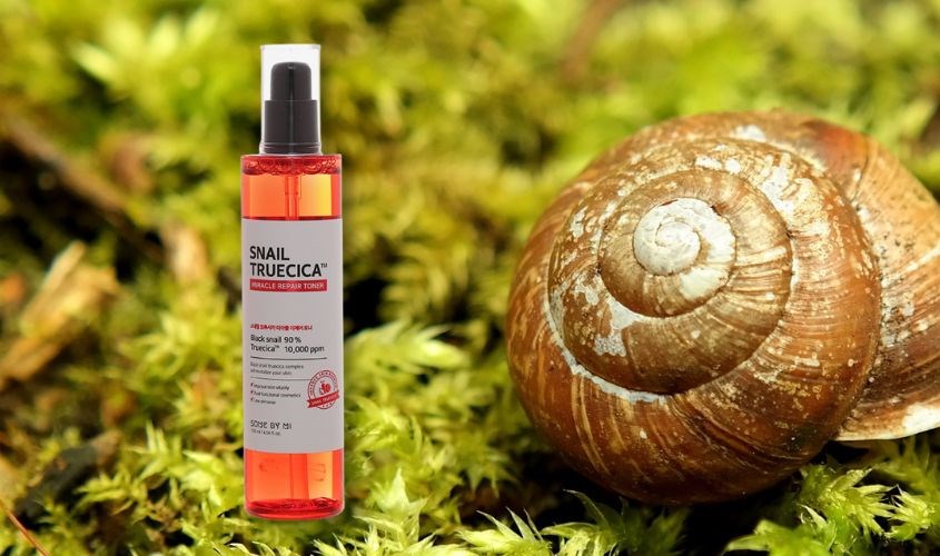 Toner Some By Mi chiết xuất Ốc Sên 135 ml