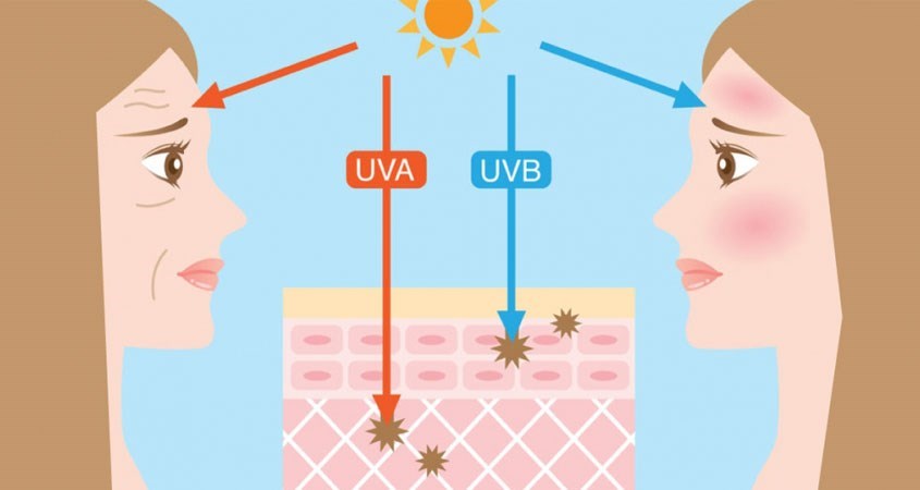 Kem chống nắng bảo vệ da khỏi tác động của tia cực tím