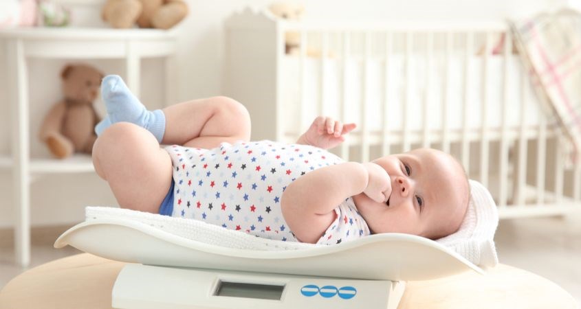 Cân nặng chuẩn của bé trai 8 tháng tuổi là 8.6 kg Cân nặng chuẩn của bé trai 8 tháng tuổi là 8.6 kg