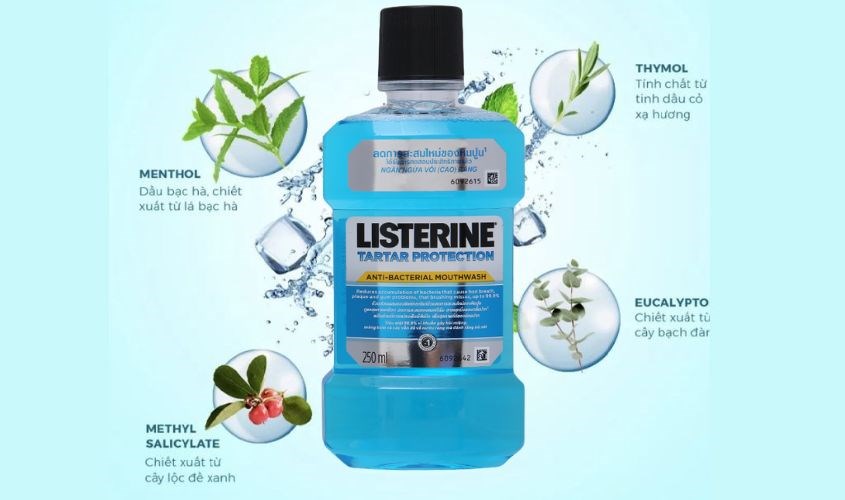 Nước súc miệng LISTERINE Tartar Protection ngừa vôi răng 250 ml hương bạc hà (từ 12 tuổi)