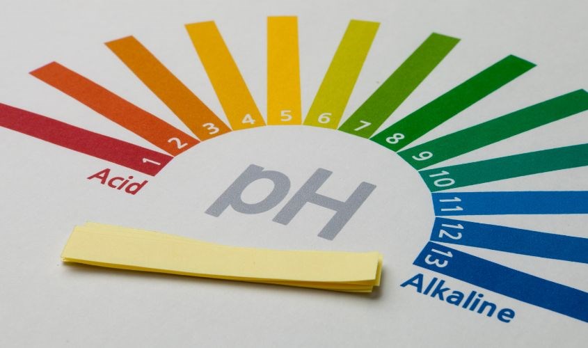 Độ pH lý tưởng của dung dịch vệ sinh phụ nữ là từ 3.8 - 4.5