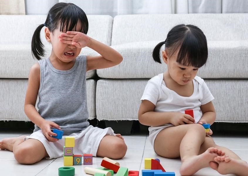 Trẻ con đánh nhau 