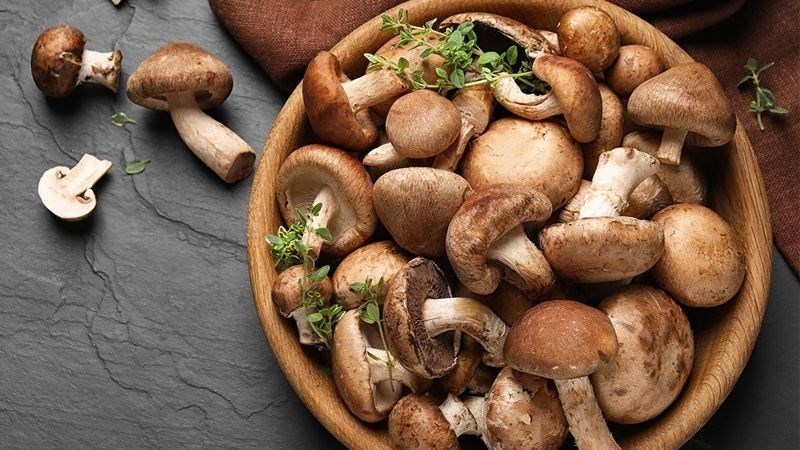 Nấm hương thể giúp loại bỏ, tiêu diệt các tế bào ung thư phổi.