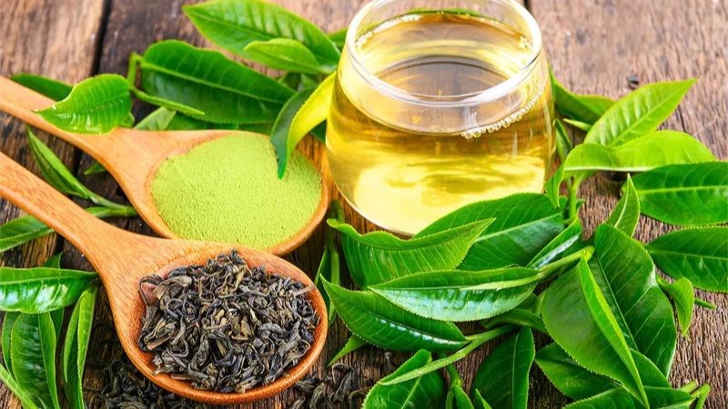 Trà xanh có thể làm giảm các dấu hiệu xơ hoá ở bệnh nhân ung thư phổi.