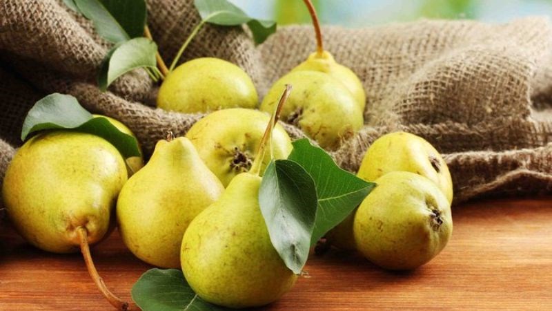 Quả lê cản trở sự hình thành và phát triển của tế bào ung thư phổi.
