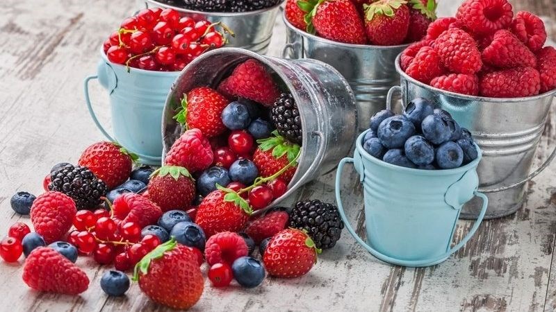 Các loại quả mọng thúc đẩy quá trình chết tế bào ung thư.