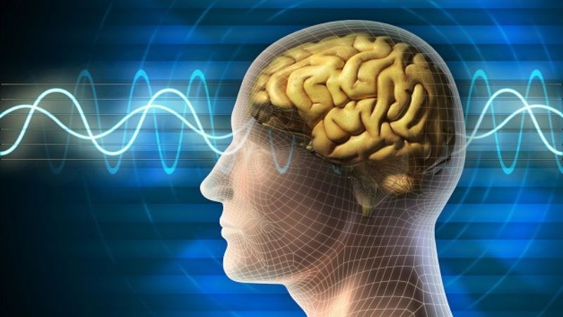 Thuốc bổ não cung cấp dưỡng chất để tăng cường trí nhớ cho não