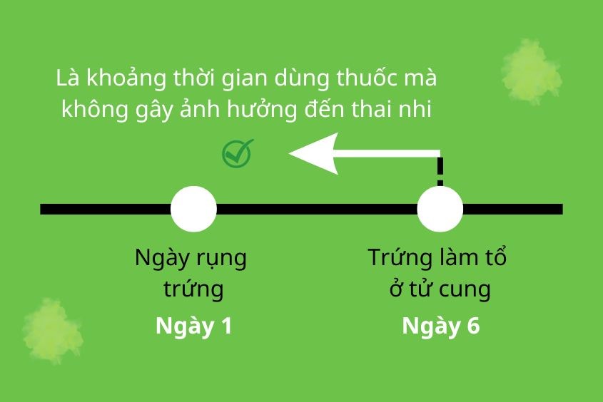 Uống thuốc trước khi trứng làm tổ ở tử cung không ảnh hưởng đến thai nhi Uống thuốc khi không biết mình mang thai trước khi trứng làm tổ ở tử cung