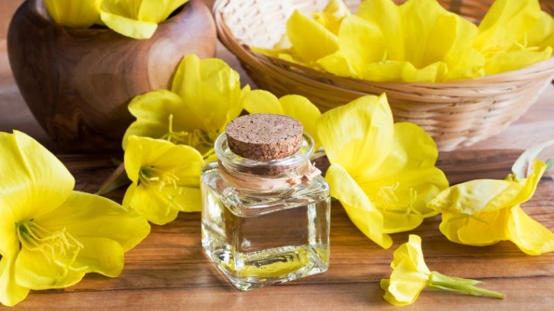 Tinh dầu hoa anh thảo đã được sử dụng rất lâu đời trong điều trị mụn