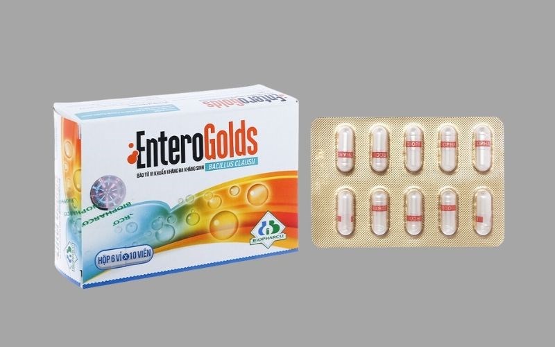 Enterogolds bổ sung vi sinh, hỗ trợ trị rối loạn tiêu hóa
