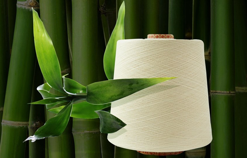 Nguồn gốc và lịch sử của vải Bamboo