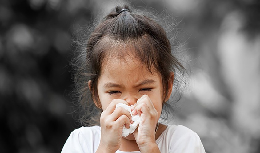 Cách phòng tránh bệnh viêm mũi dị ứng Cách phòng tránh bệnh viêm mũi dị ứng