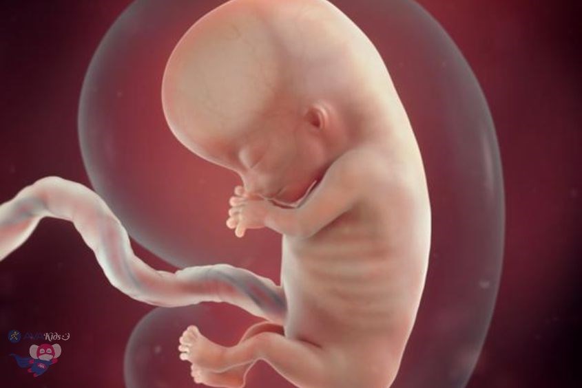 Thực hiện xét nghiệm Double test giúp tầm soát nguy cơ dị tật bẩm sinh