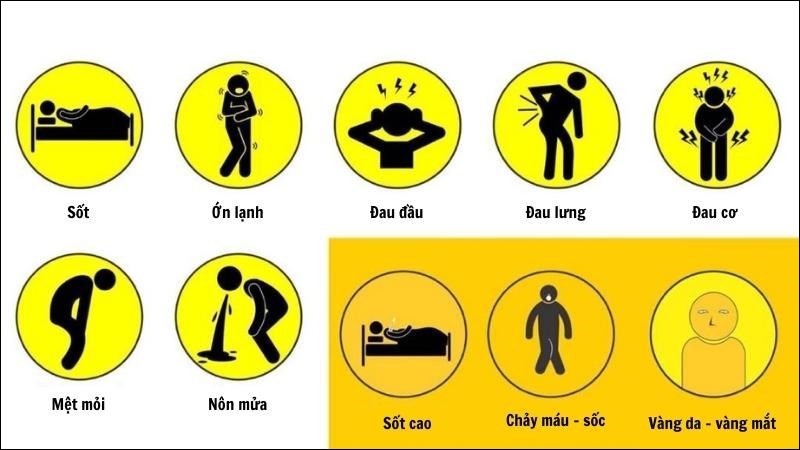 Các triệu chứng của bệnh sốt vàng