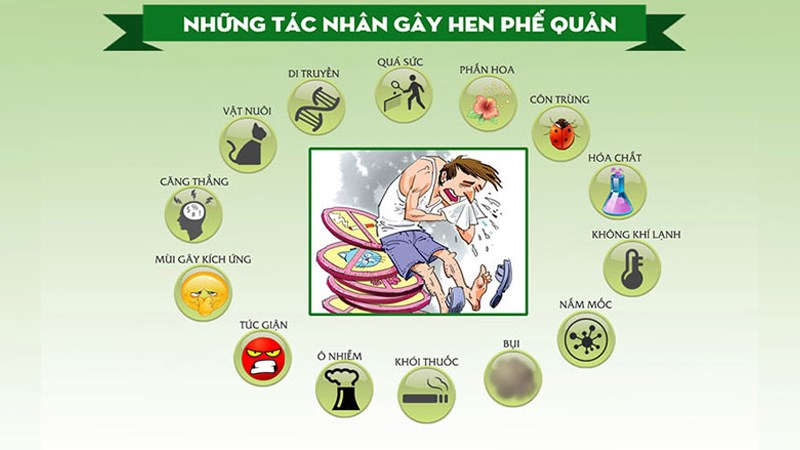 Các tác nhân gây hen phế quản có thể gặp