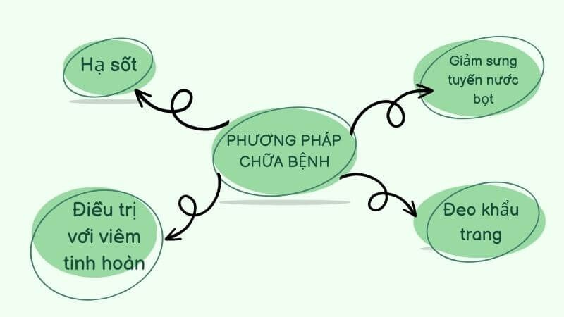 Các phương pháp chữa bệnh quai bị