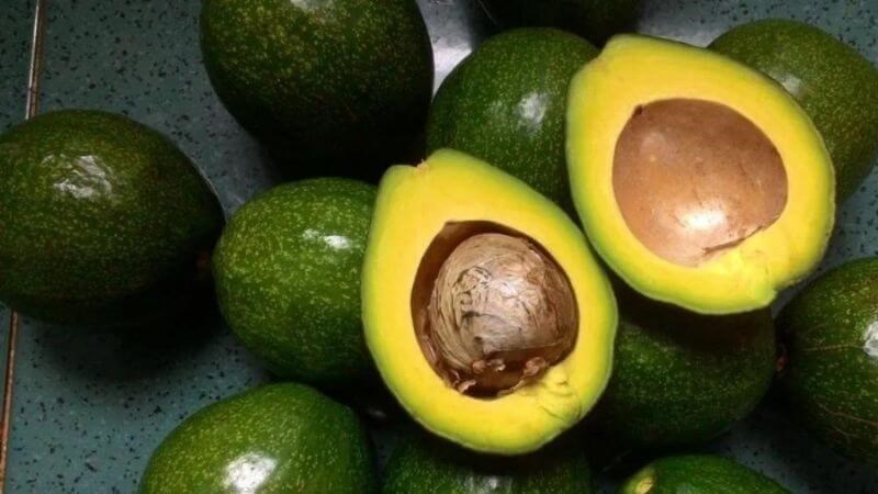 Trái bơ là thực phẩm giàu dinh dưỡng cho bà bầu