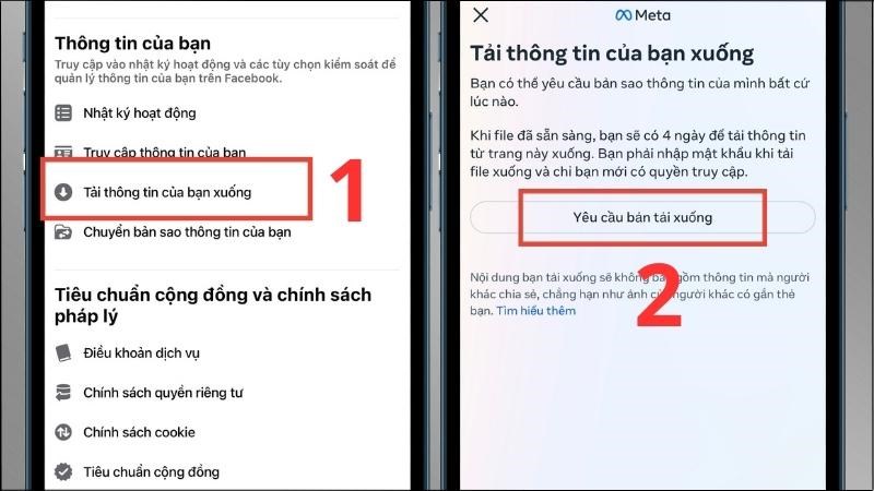 Chọn Tải thông tin của bạn xuống > Chọn Yêu cầu bản tải xuống