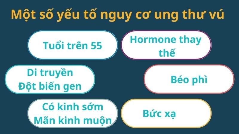 Các yếu tố nguy cơ ung thư vú