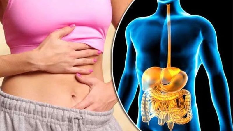 IBS được phân loại dựa trên các vấn đề về nhu động ruột IBS được phân loại dựa trên các vấn đề về nhu động ruột