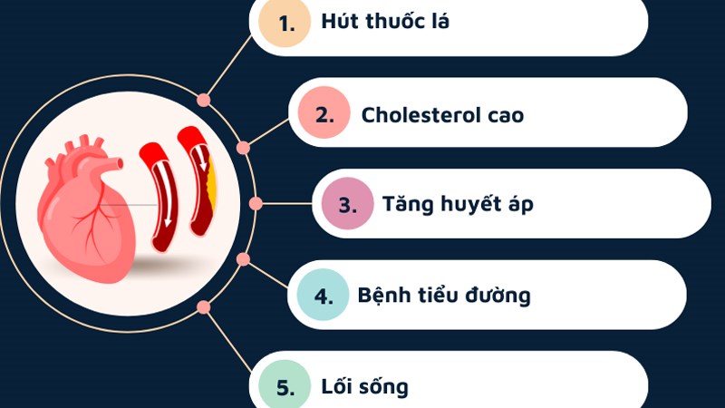 C&aacute;c yếu tố nguy cơ c&oacute; thể kiểm so&aacute;t được