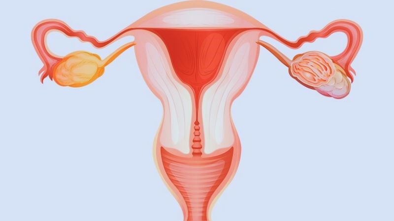 Việc nuôi con bằng sữa mẹ sẽ giúp tử cung mẹ co lại nhanh hơn
