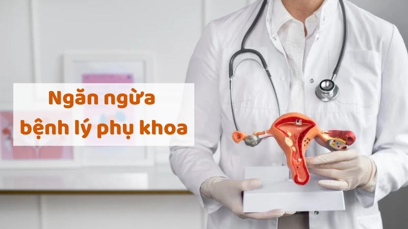 Nuôi con bằng sữa mẹ có thể làm giảm nguy cơ mắc các bệnh lý phụ khoa