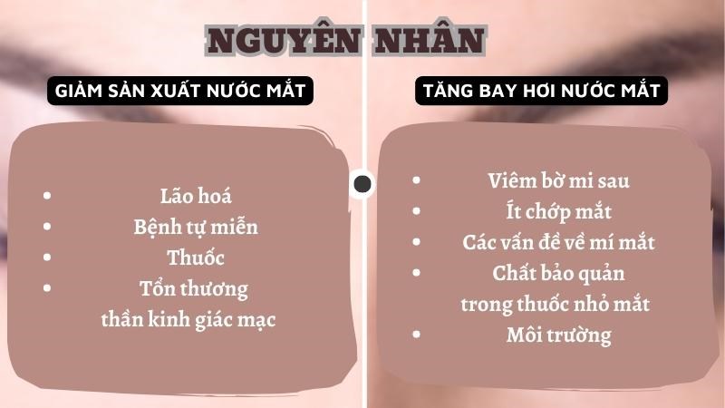 Khô mắt chủ yếu do giảm sản xuất nước mắt và tăng tốc độ bay hơi nước mắt Khô mắt chủ yếu do giảm sản xuất nước mắt và tăng tốc độ bay hơi nước mắt