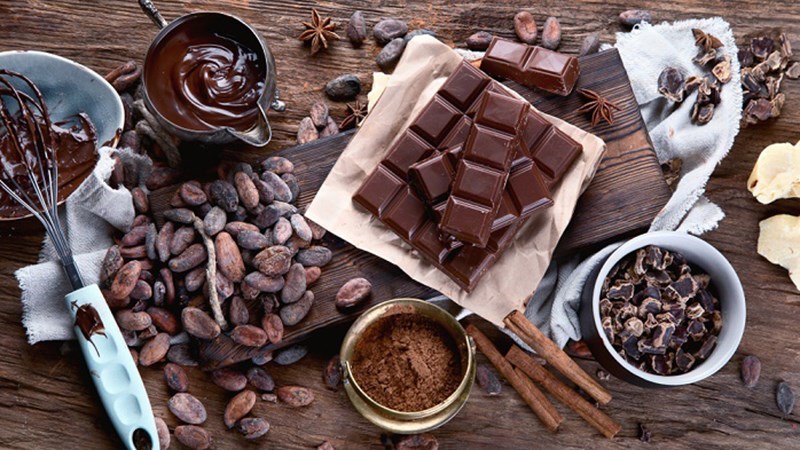 Cacao có chứa Oxalate làm tăng nguy cơ tạo sỏi