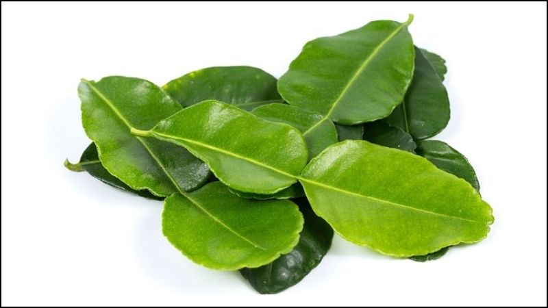 Lá chanh chứa các thành phần kháng khuẩn, chống viêm và giảm đau