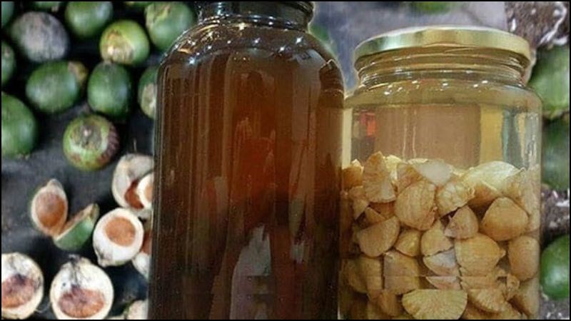 Quả cau có khả năng sát trùng và ức chế sự phát triển của vi khuẩn trong khoang miệng