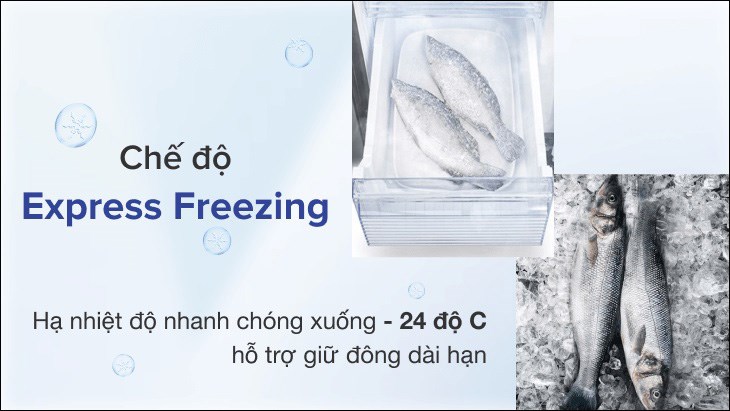 Chế độ Express Freezing trên tủ lạnh Sharp giúp cấp đông thực phẩm nhanh chóng