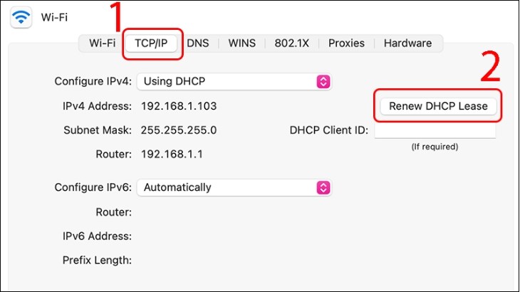 Trong tab TCP/IP, bạn chọn Renew DHCP Lease