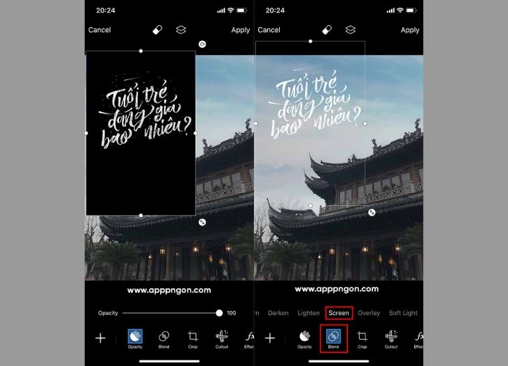 PicsArt được tích hợp nhiều công cụ chèn chữ chuyên nghiệp