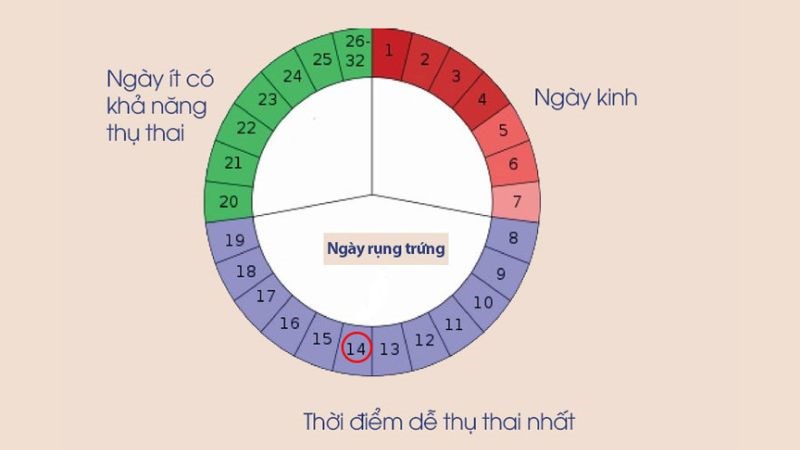 Chu kỳ kinh nguyệt 26 - 30 ngày có khoảng dễ thụ thai nhất ngày 9-18