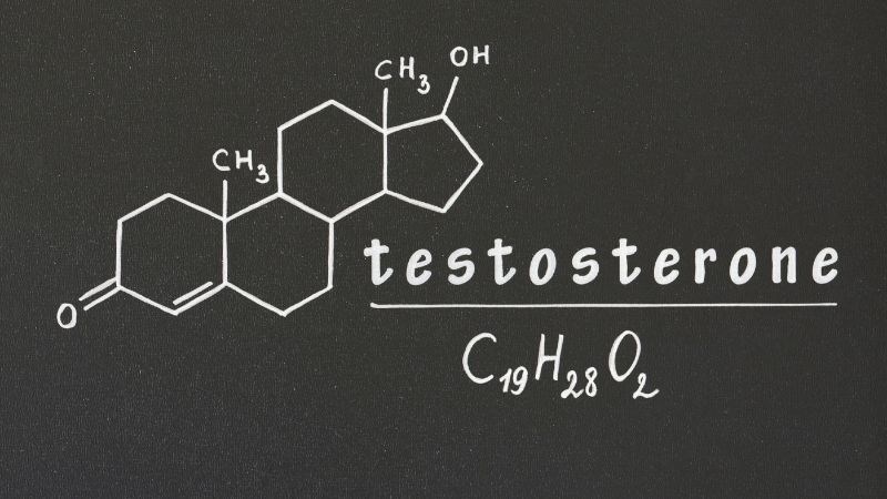 Testosterone kích thích tuyến bã nhờn tăng hoạt động gây ra gàu