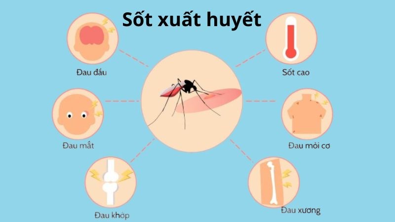 Một số dấu hiệu có thể gặp của bệnh sốt xuất huyết