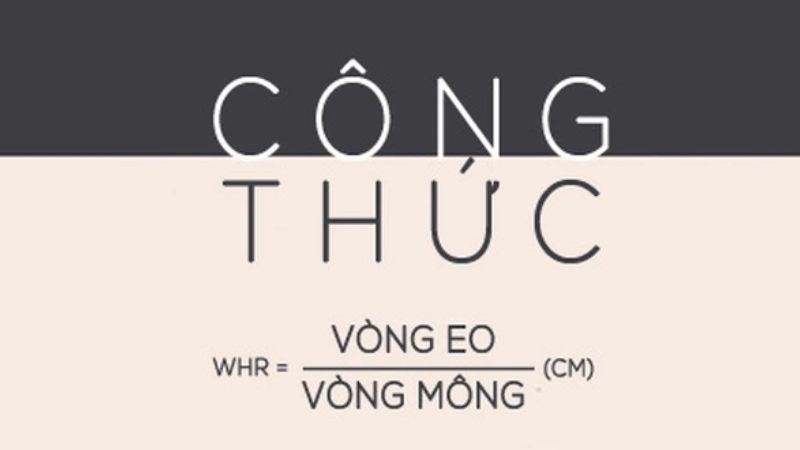 Công thức đo tỷ lệ eo / hông (WHR) 