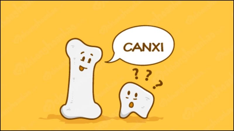 Bổ sung canxi để răng chắc khoẻ hơn Bổ sung canxi để răng chắc khoẻ hơn