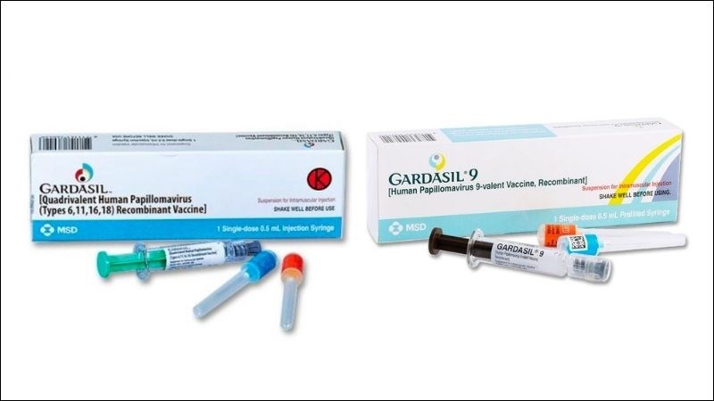 Gardasil và Gardasil 9 là 2 loại vaccine HPV phổ biến nhất hiện nay