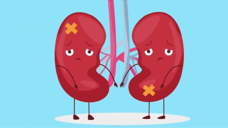 Người bệnh thận mạn thường bị tăng kali máu