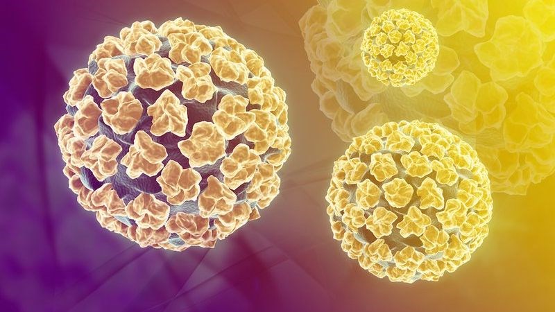 HPV là virus gây bệnh lây truyền qua đường tình dục